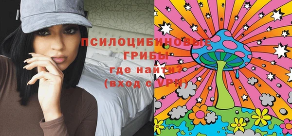 PSILOCYBIN Белокуриха
