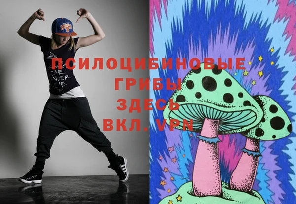 PSILOCYBIN Белокуриха