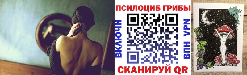 Псилоцибиновые грибы Psilocybe  Бутурлиновка 